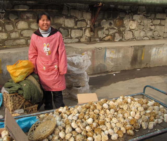 Zdjęcia: stragan, X`an, Noworoczne jaja, CHINY Zdjęcia: stragan, X`an, Noworoczne jaja, CHINY